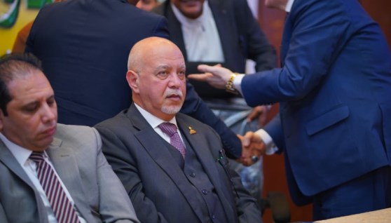 المهندس حازم الجندي- عضو مجلس الشيوخ