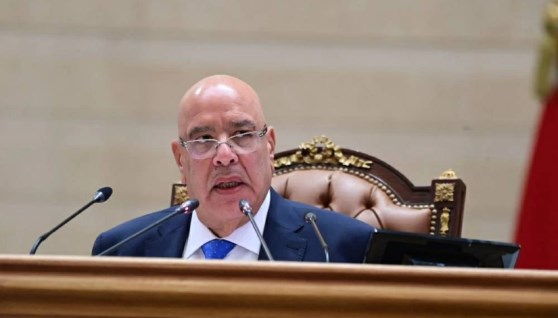 المستشار هشام بدوى - رئيس مجلس النواب