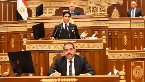 مجلس الشيوخ خلال مناقشة قانون الضريبة العقارية