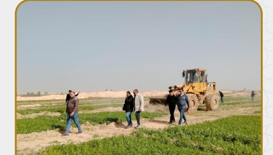 حملات إزالة للتعديات ومخالفات البناء والإشغالات