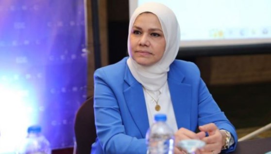  رشا عبد العال، رئيس مصلحة الضرائب المصرية