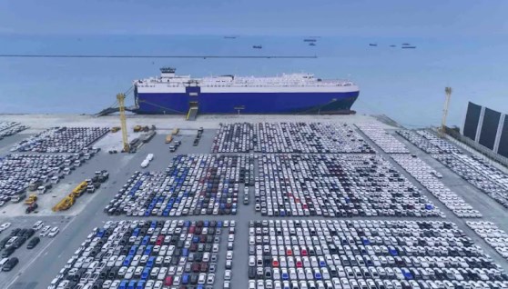 سيارات ذوي الإعاقة المحتجزة في الموانئ