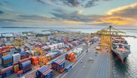 المناطق الحرة