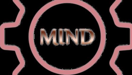 تطبيق دعم المستثمرين