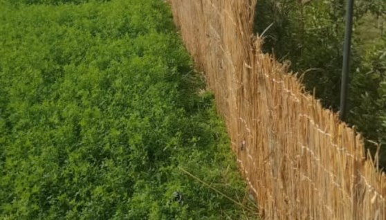 الأراضي الزراعية