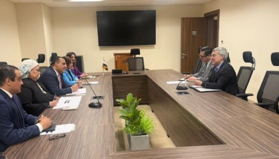  التمثيل التجاري المصري