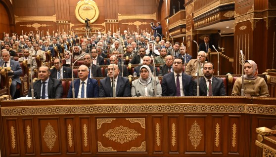  مجلس الشيوخ