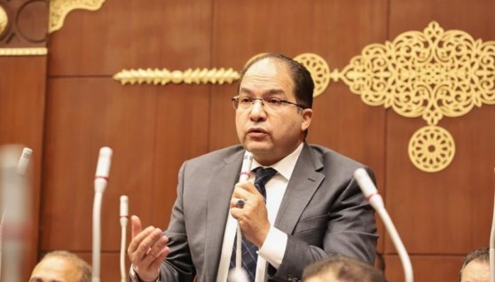 عادل اللمعي- عضو مجلس النواب