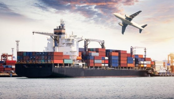 النقل الدولي 