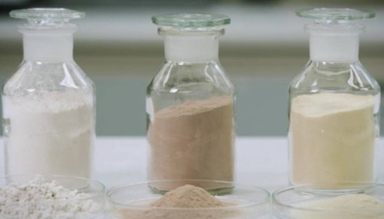 نشا وبروتين نباتي