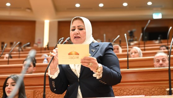 سحر صدقي عضو مجلس النواب