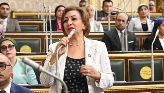 مها عبد الناصر