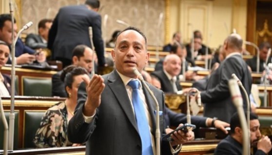 النائب فريدي البياضي