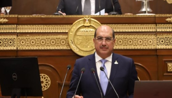 النائب ميشيل الجمل عضو مجلس الشيوخ