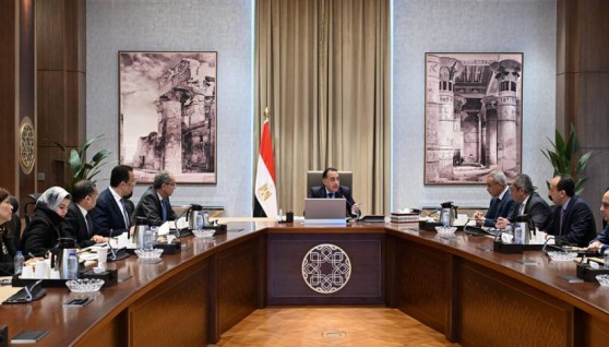 رئيس مجلس الوزراء خلال الاجتماع 