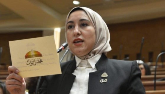 النائبة صافيناز طلعت عضو مجلس النواب 