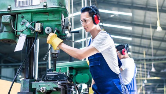 التصنيع محلياً