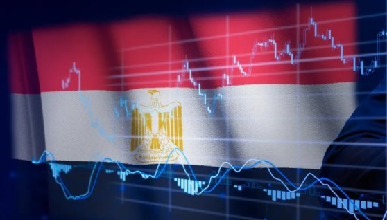 الاستثمار الأجنبي في مصر 