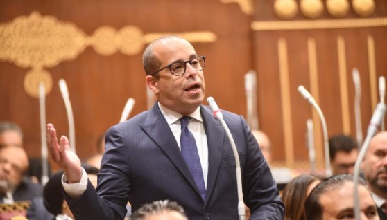 المهندس نادر خزام عضو مجلس الشيوخ