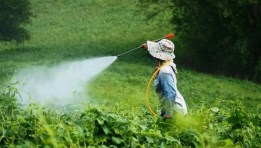 مبيدات حشرية- أرشيفية