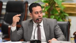 النائب أحمد فرغلي، عضو مجلس النواب