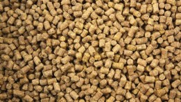 أعلاف الدوجن