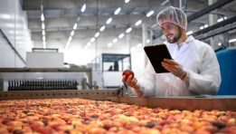 الصناعات الغذائية