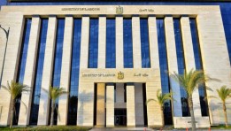 وزارة العمل المصرية 