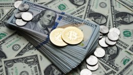 الدولار الامريكي 