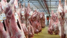 مخلفات المجازر 