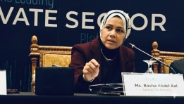 رشا عبد العال، رئيس مصلحة الضرائب المصرية