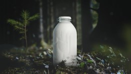 الزجاجات الورقية- أرشيفية