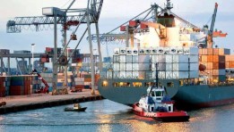 الإفراج الجمركي عن المواد الكيماوية