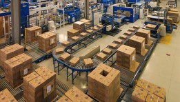 صناعة الكرتون 