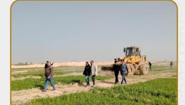 حملات إزالة للتعديات ومخالفات البناء والإشغالات