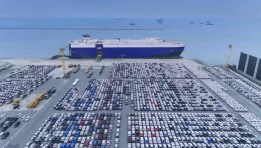 سيارات ذوي الإعاقة المحتجزة في الموانئ