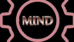 تطبيق دعم المستثمرين