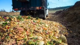 المخلفات الزراعية