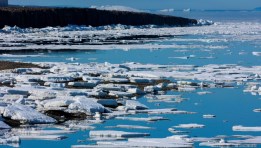 القطب الشمالي