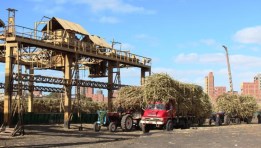 مصنع سكر أبو قرقاص