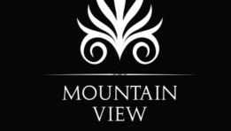 شعار شركة ماونتن فيو