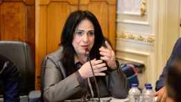  النائبة ميرال الهريدي