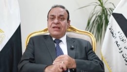 الخبير الاقتصادي الدكتور محمد الشوادفي