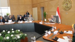 الدكتور محمود عصمت- وزير الكهرباء