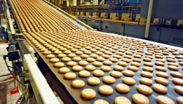 الصناعات الغذائية