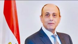 الفريق محمد عباس حلمي