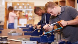 التعليم الفني