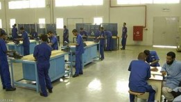 التعليم الفني