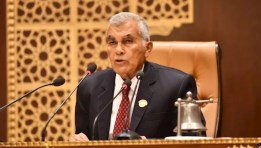 المستشار عصام الدين فريد رئيس مجلس الشيوخ 