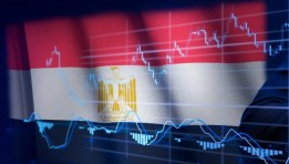 الاستثمار الأجنبي في مصر 